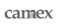 Camex Logo