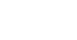 Next Big Idea Club
